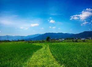 %e3%82%b9%e3%82%af%e3%83%aa%e3%83%bc%e3%83%b3%e3%82%b7%e3%83%a7%e3%83%83%e3%83%88-2016-12-30-12-29-32